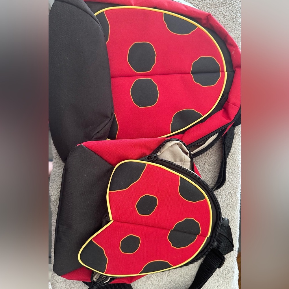 Ladybug bag pack set